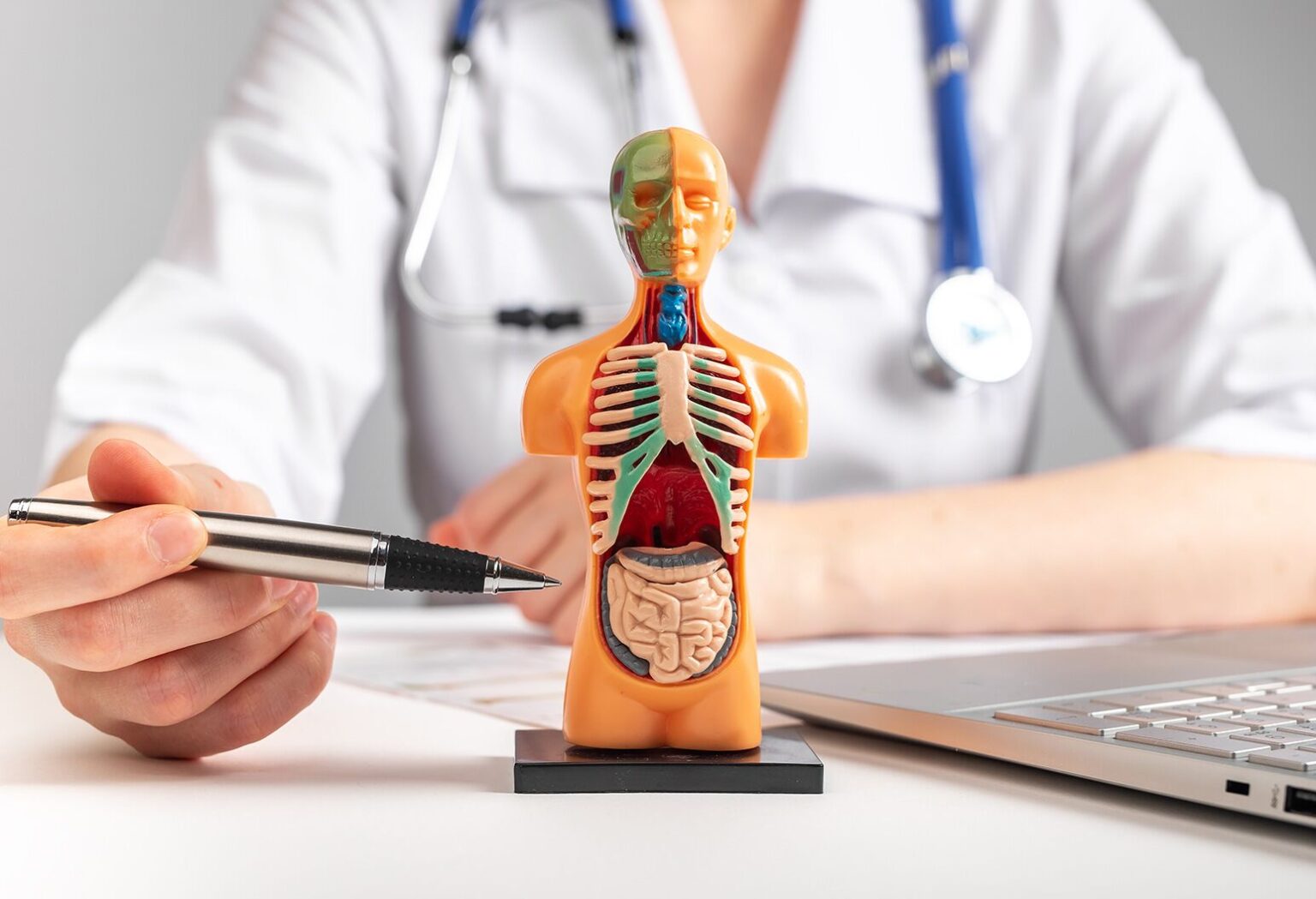 The Role of Internal Medicine in Comprehensive Patient Care Internal Medicine
